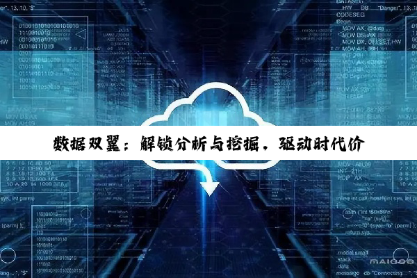 数据双翼：解锁分析与挖掘，驱动时代价值新引擎