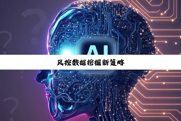 风控数据挖掘新策略
