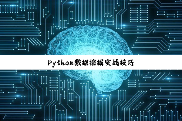 Python数据挖掘实战技巧